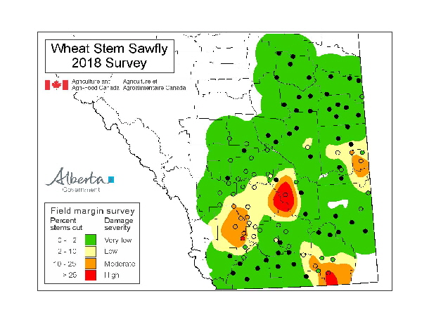 Wheat Stem Sawfly 2018-page-001