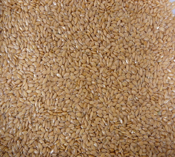 CDC-Dorado CDC-Dorado